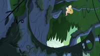 Fluttershy moves the beehive to a higher branch S7E25