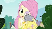 Fluttershy nuzzling her pet cat EG3