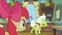 Granny Smith about to bring Apple Bloom...