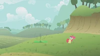 Too bad, kite flying would have been a nice cutie mark.