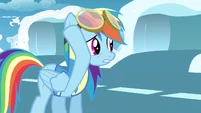 Rainbow Dash removing her goggles.