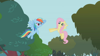 Rainbow about to high five Fluttershy S01E10