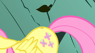 S01E07 Liść spada na Fluttershy