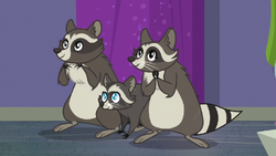 Smoky's raccoon family appears S8E4