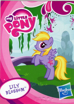 My little pony lily blossom sales