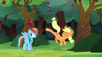 Applejack kicks an apple over Rainbow's head S6E18