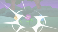 Discord's chaos magic affects the flowers S6E25