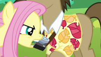 Fluttershy grabs Globe Trotter by the camera S2E19