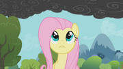 Fluttershy notices the smoke 2 S01E07