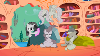 Grey Main Four ponies S2E02