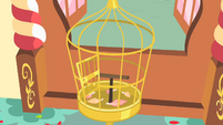 Philomena's empty bird cage S01E22