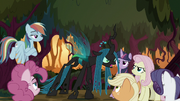 Queen Chrysalis "has come!" S8E13