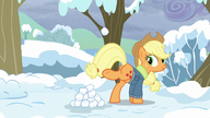 S05E05 Applejack bawi się śnieżynkami