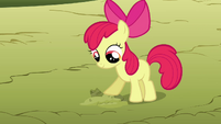 Apple Bloom helps by planting the seeds.