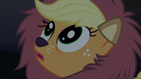 Applejack with wide eyes S5E21