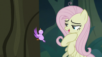 Fake Fluttershy "oh, that's right" S8E13