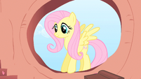 Fluttershy upon the window sill.