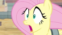 Fluttershy spots a cute little bunny.