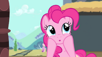 Pinkie Pie 'Two sisters-in-law bonding' S4E11