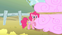 Pinkie Pie gorging on corralled clouds S2E01