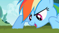 Rainbow Dash 'From weeds!' S2E08