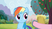 Rainbow Dash Being offered Cider S2E15