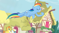 Dashie being awesome while smiling.