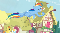 Rainbow Dash capturing coins in hoof S3E6