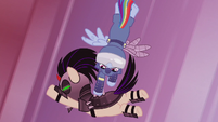 Rainbow Dash slams into a Crystal Pony's back S5E25