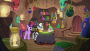 S05E22 Zecora ofiarowuje Twilight specjalną substancję.png