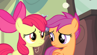 Scootaloo looks at Apple Bloom S4E19