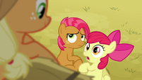 Apple Bloom 'I haven't had any time with Babs!' S3E08