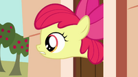 Apple Bloom asks about treats S03E11