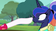 Celestia boops Luna on the nose S9E13