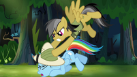 Daring Do attacks Rainbow Dash S4E04