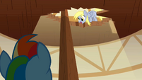 Derpy Hooves looking down 2 S2E14