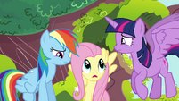Fluttershy "is that any way to talk to a friend?" S4E21