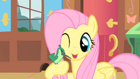 Fluttershy and a new friend1 S01E22