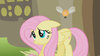 Fluttershy is sorry S1E10