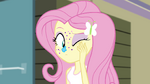 Fluttershy rubbing her face EG2