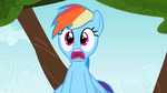 Rainbow Dash Scream 4 S2E07