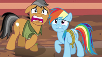 Rainbow Dash and Quibble Pants scared S6E13