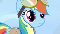 Can Rainbow's expression be anymore vague?