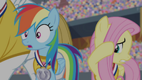 Rainbow Dash shocked and Fluttershy cringing S4E24