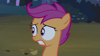 Scootaloo's teeth chattering S3E06
