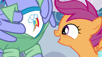 Scootaloo looking at Bow Hothoof's shirt S7E7