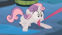 Sweetie Belle steps on a puddle S02E12