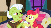 Apple Bloom asking Granny about the family memories S3E8