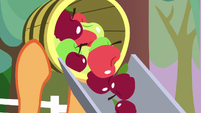 Applejack drops apples in cider press S9E7