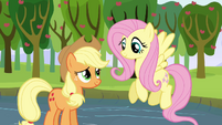 Applejack thanks Fluttershy S03E10